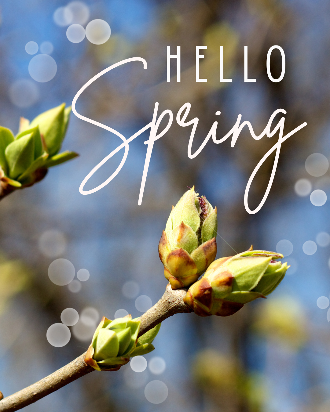 Jordning i förändringens tid – varför våren behöver din närvaro