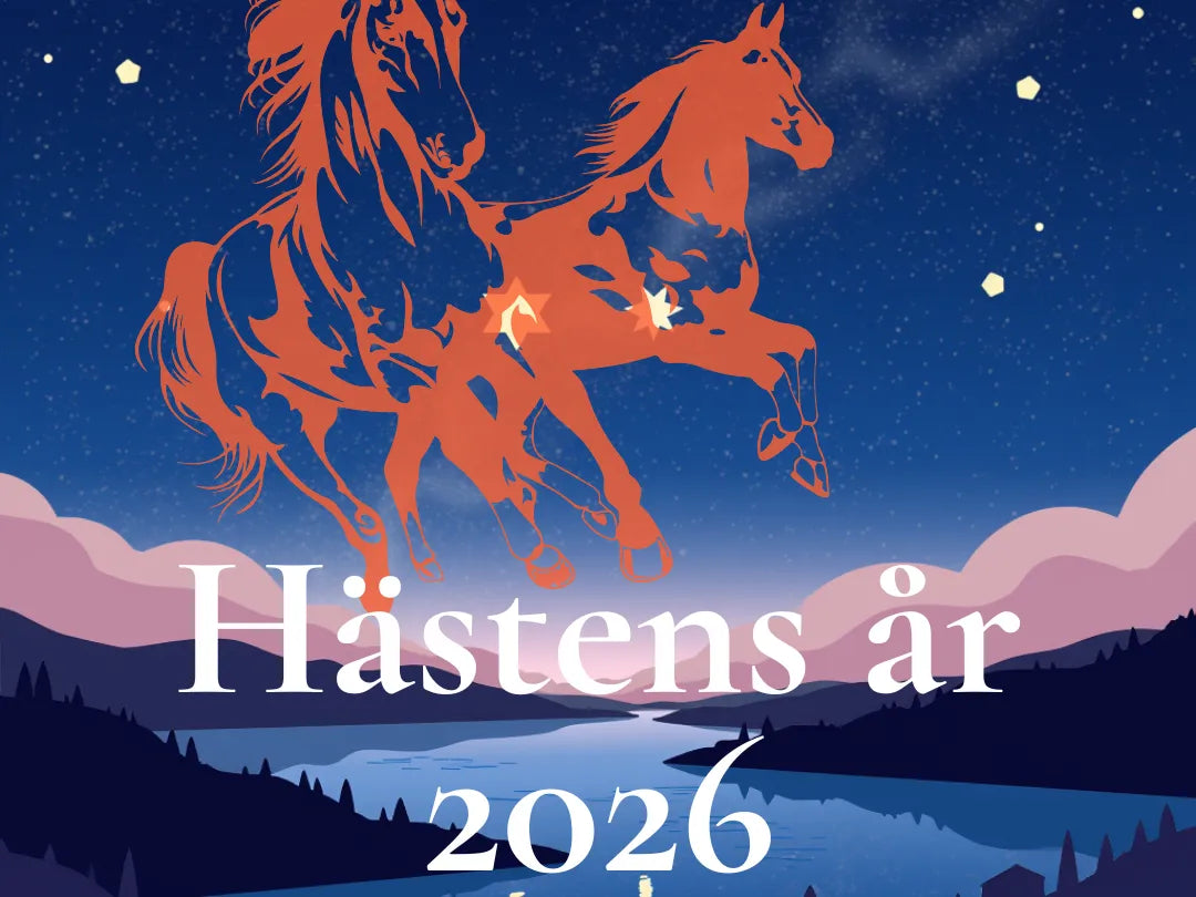 🐎 Hästens år – Ett år av rörelse, mod och levande energi