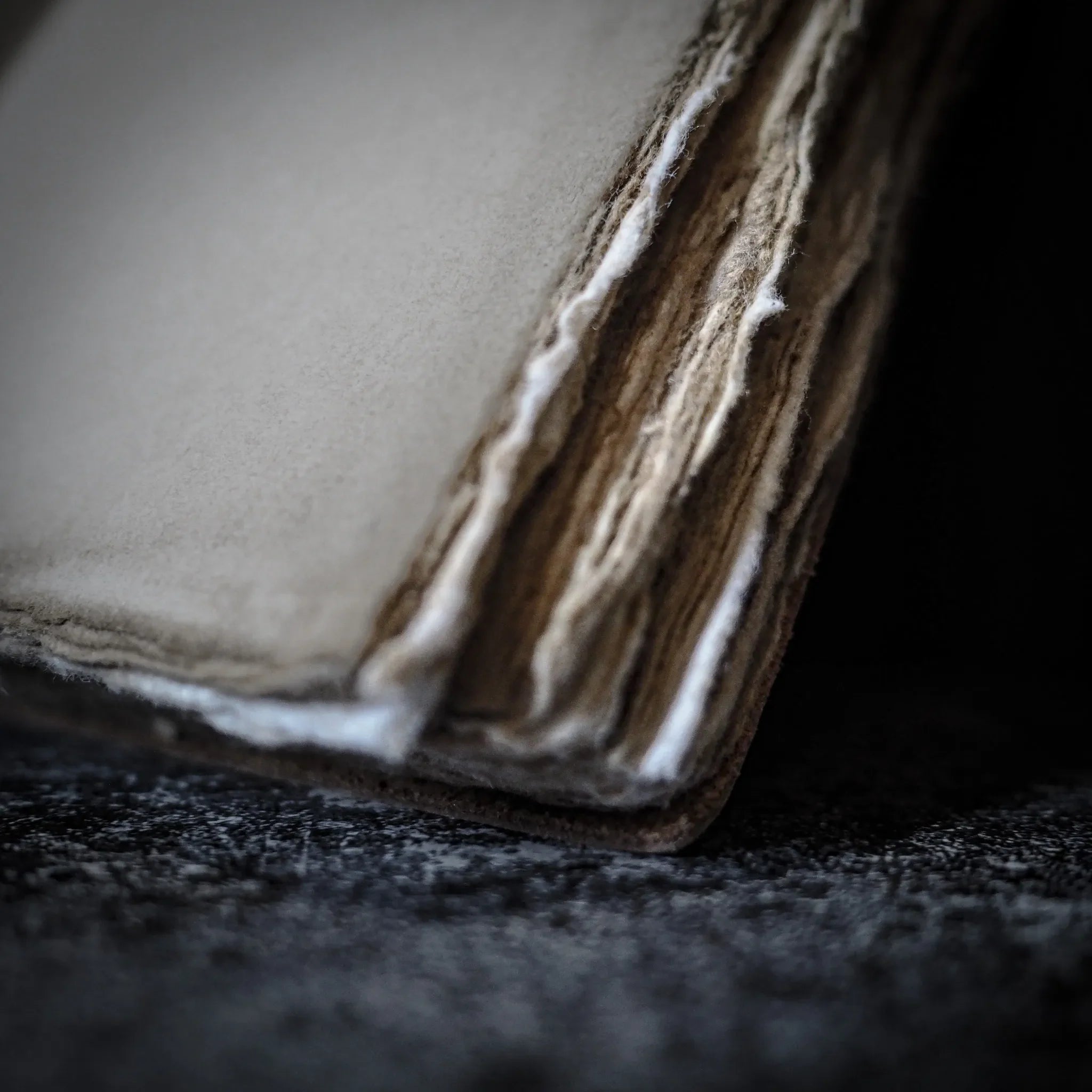 Livets träd-Anteckningsbok